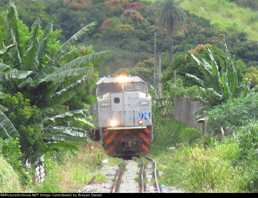 VLI 8438